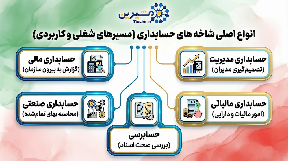 اینفوگرافیک انواع اصلی شاخه های حسابداری